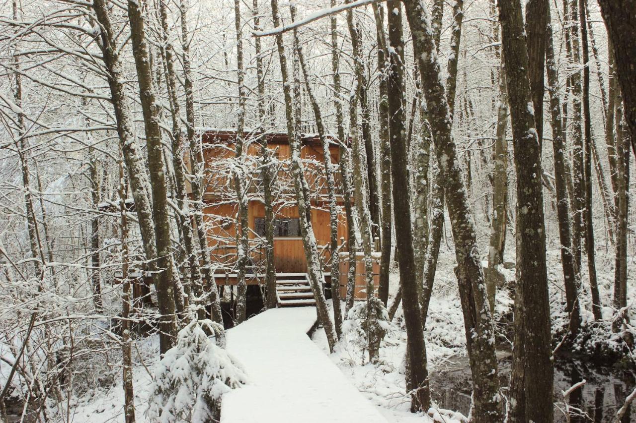 فيلا Saint-Nabordفي Domaine De Ribeaugoutte المظهر الخارجي الصورة